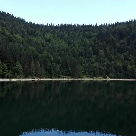 La Bressaude - Vacances-en-vosges - Menage Compris *