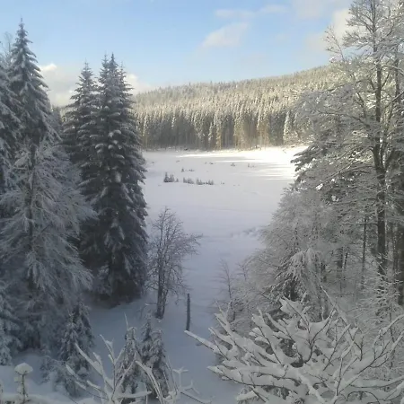 La Bressaude - Vacances-en-vosges - Menage Compris *