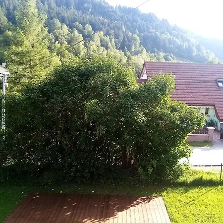 La Bressaude - Vacances-en-vosges - Menage Compris Holiday home *