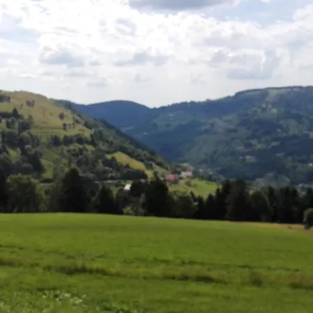 Holiday home La Bressaude - Vacances-en-vosges - Menage Compris *