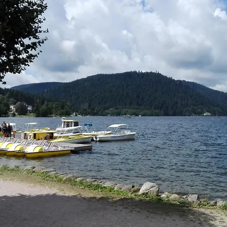 La Bressaude - Vacances-en-vosges - Menage Compris