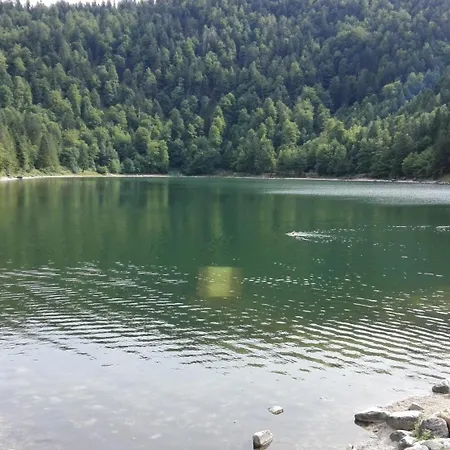 Ferienhaus La Bressaude - Vacances-en-vosges - Menage Compris