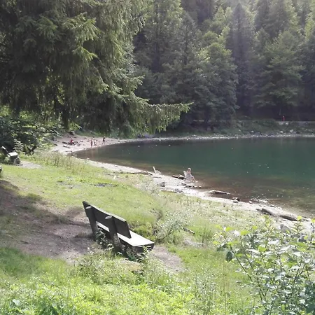 Ferienhaus La Bressaude - Vacances-en-vosges - Menage Compris