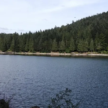 Ferienhaus La Bressaude - Vacances-en-vosges - Menage Compris *