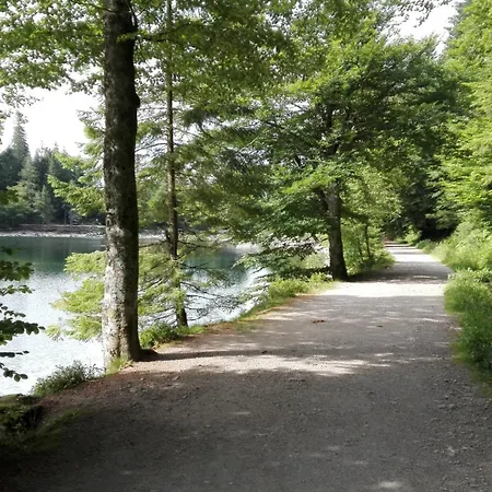 La Bressaude - Vacances-en-vosges - Menage Compris La Bresse