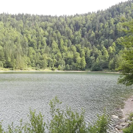 Ferienhaus La Bressaude - Vacances-en-vosges - Menage Compris *