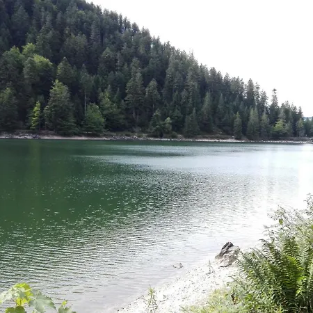 Ferienhaus La Bressaude - Vacances-en-vosges - Menage Compris *